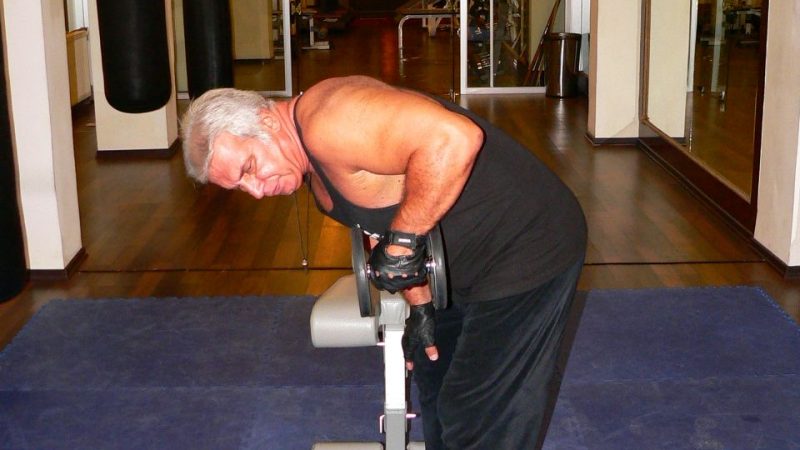 Standing Bent Over One Arm Dumbbell Triceps Kick Back